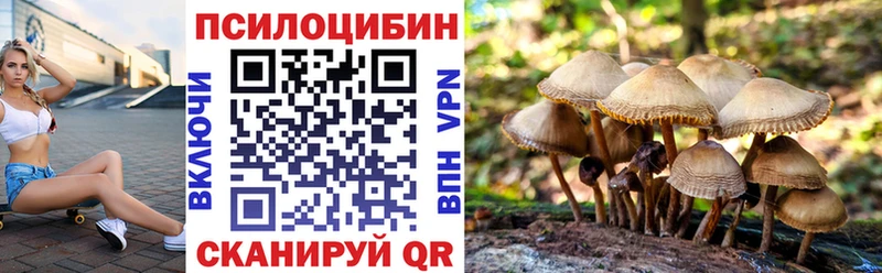 shop наркотические препараты  Лысково  Псилоцибиновые грибы Psilocybe 